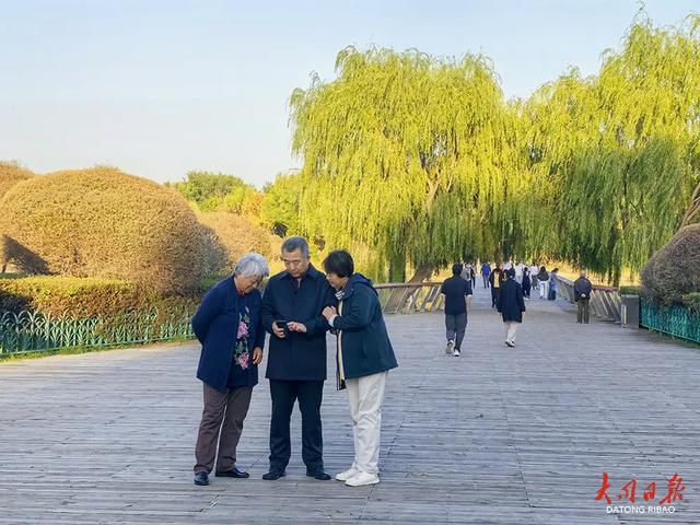 文瀛湖秋日颜值仍“营业中”，花箱矩阵绚烂依旧~