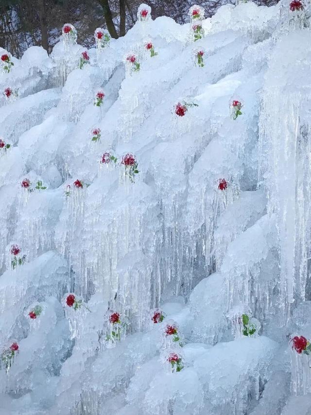 航小天带你看长安 | 晴雪染峰 冬韵天成