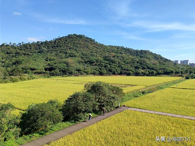 从化艾米稻香小镇