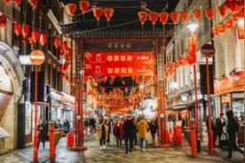 胡懋仁：在美国的华人群体图片