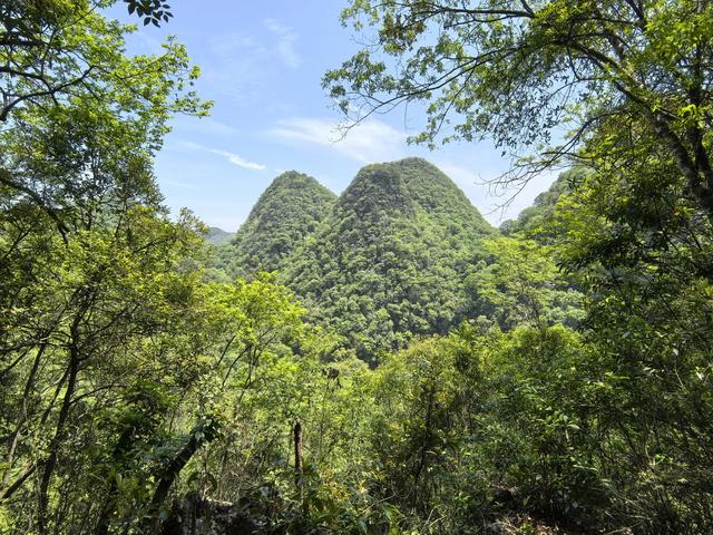 带小朋友去贵州茂兰，连环探洞加漏斗原始森林徒步二日游全攻略！