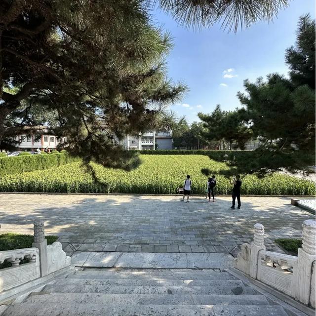 别死磕国博了!更年期小阿姨私藏的平替馆,好约又好看~