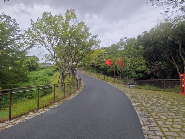 西丽湖国际科教城绿道高清随拍