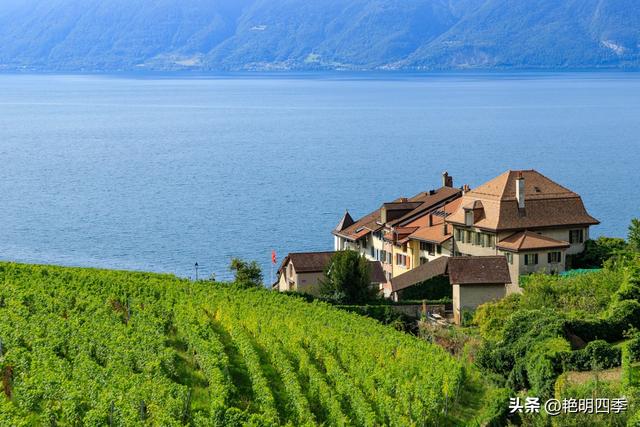 欧游杂记（2）‖ 日内瓦湖畔的美丽：从日内瓦到蒙特勒