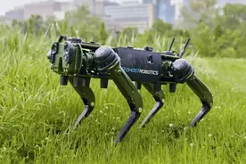 三牧羊犬先后战死，老牧民忧愁狼群再来时，儿子带回一机器狗图片