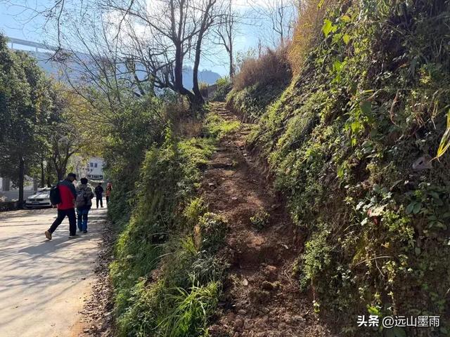 阳光明媚的冬日里,我们爬山去,逛陡坡村、看冬樱花,做晴朗的事