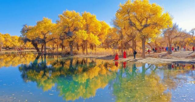 走进魅力北疆 遇见金色阿拉善