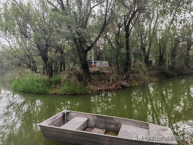 泰安：南湖公园人潮如织，十二莲桥美轮美奂，老夫妇的话让人深思