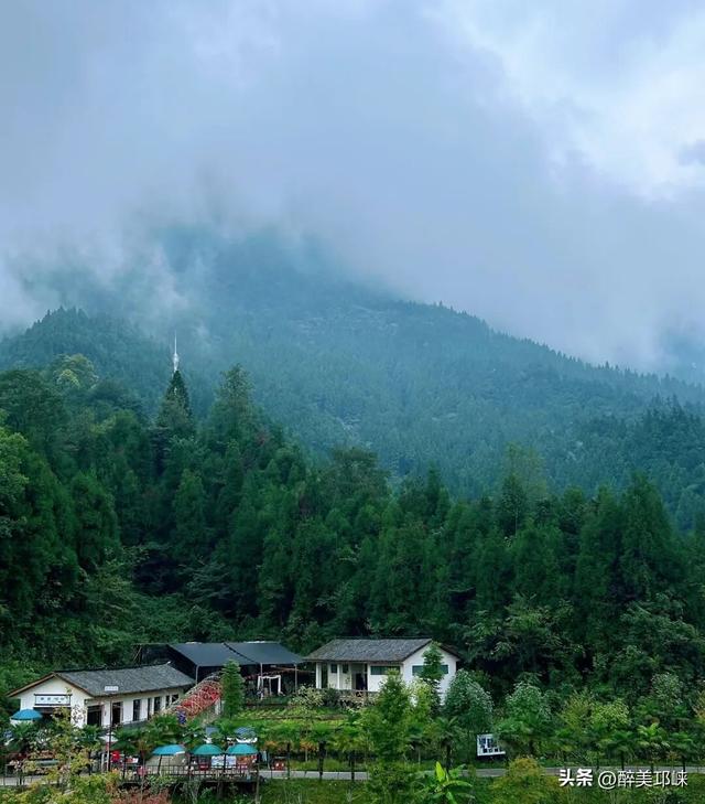 深秋想赴一场“森”系约会？来邛崃就够了！