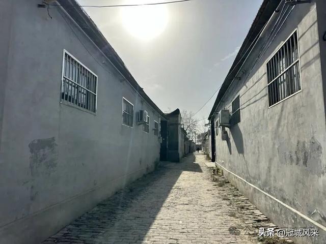 冠县乡韵·辛集镇饮马庄