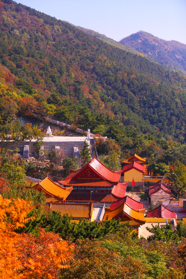 烟台秋日绝色盛宴筹备中，走！寻秋去！