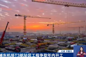浦东机场重磅官宣！网友沸腾:不用跑断腿了图片