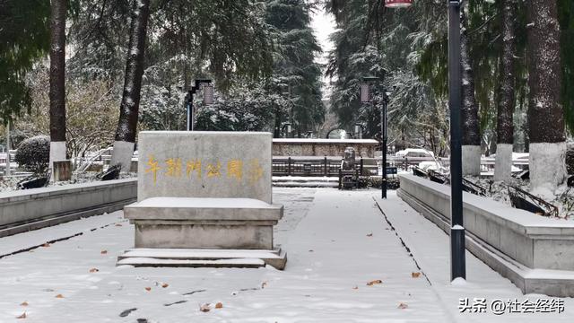 每日一景|大寒雪落金陵 明故宫梧桐披银 市民漫步享冬日诗意