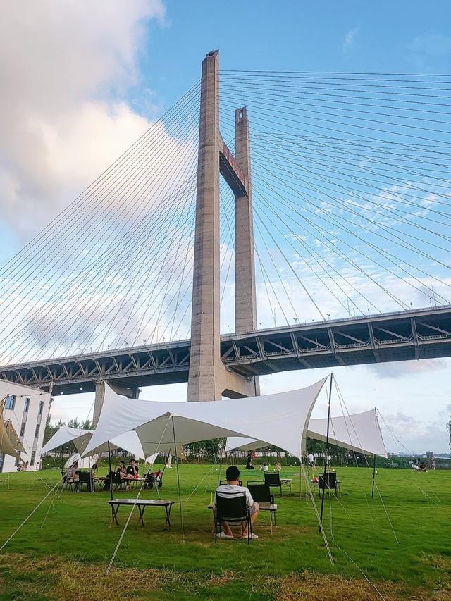 都市绿洲,童话秘境:上海浦江郊野公园完全探索指南