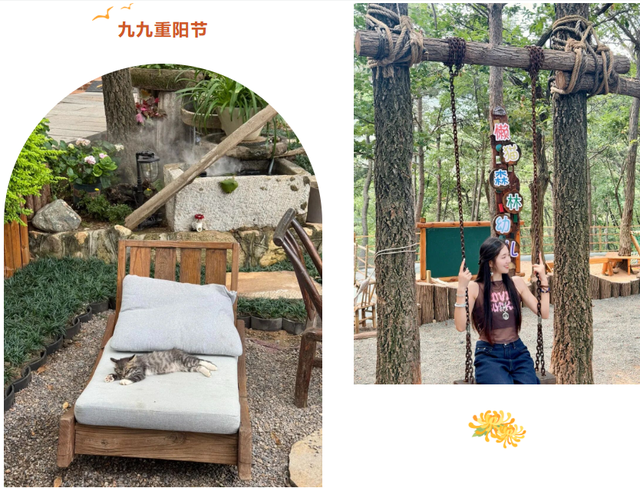 重阳节，在临沂这样过——9.9元景区特惠、赏菊、登高、祈福……