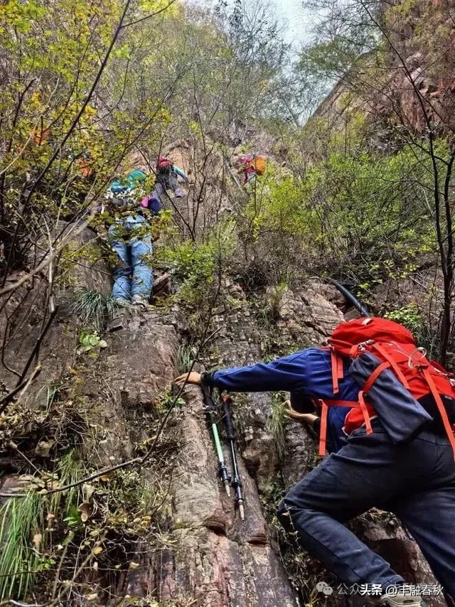 爬草双（外一首）｜ 罗锋