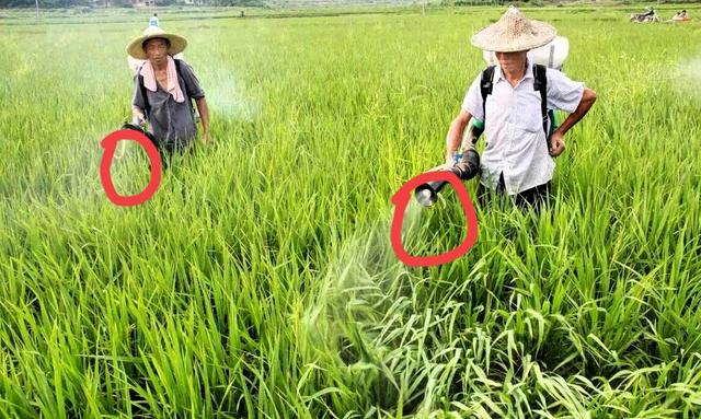 1. 央视实锤！1克就致命的“毒蔬菜”已流向3地，买菜必看避坑指南