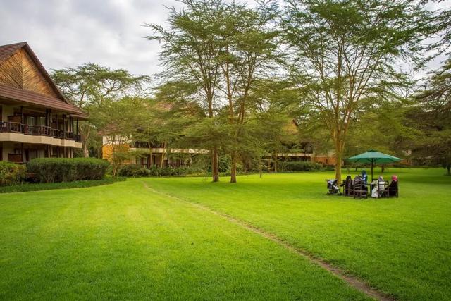 春节9天假直奔肯尼亚?这届游客开始“错峰”看动物