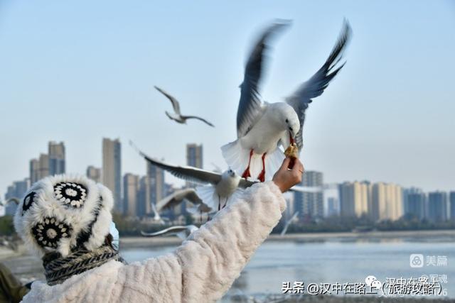汉中中小学春秋假时间已定！亲子游好去处有这么多