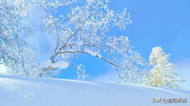探秘龙江之巅：凤凰山国家森林公园纪行