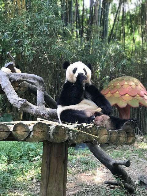 广东20个热门景点，游客用钱和脚投票选出，真实不虚