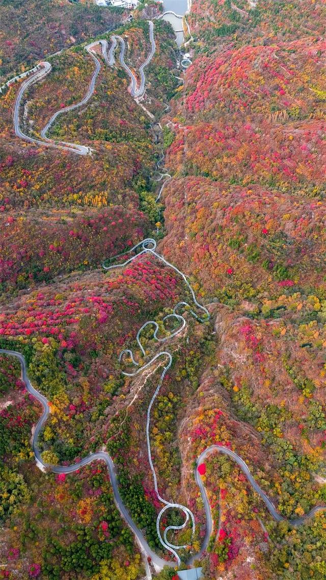 中秋国庆来畅玩山野！淄博这里秋色正在加载中，红叶大片先收藏→