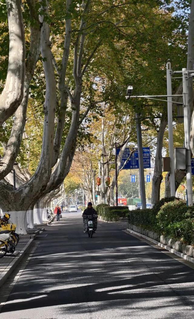 人挤人的南京，现在还值得去吗？