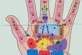 脾胃不好，找左手；肝不好，找右手！图片