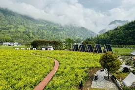 湖北省恩施市：绘就绿水青山振兴图图片