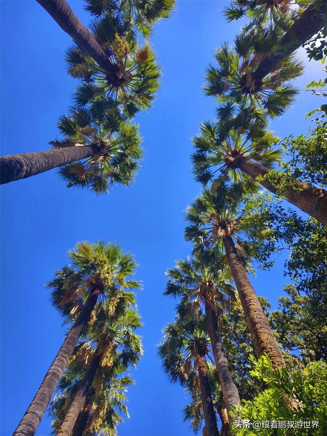 雅典怎么玩儿?去这10个地方触摸 2500 年的古典与浪漫:雅典一日游