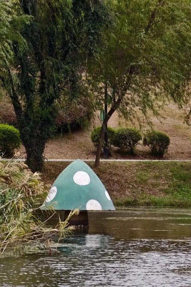 黄山治愈系打卡！20 分钟公园漫游，和“班味”说拜拜 | 皖美冬日 | 第十五届安徽国际文化旅游节