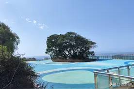 公交环游南澳岛，吃蚝仔的烙，陪孤独的树，看彩虹的海图片