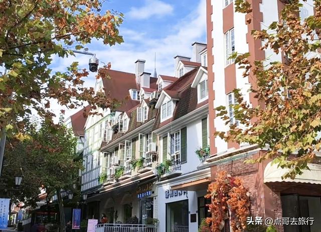 成都彭州的魔幻彩林，都不要门票！壮观、唯美、浪漫，无不惊艳！