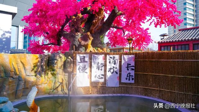 这个冬日，西宁又多了一处休闲打卡地