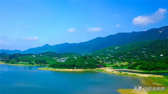 佛山市民国庆出游不用出家门，三水这个花主题景区将游客拉回春天