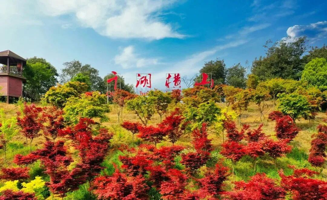 喜讯！两大新晋品牌打卡地，承包你的潮玩与松弛