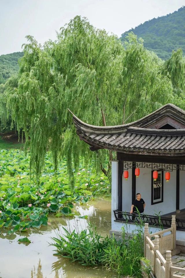 看“苏超”，乘高铁直达张家港，解锁五大主题玩法→