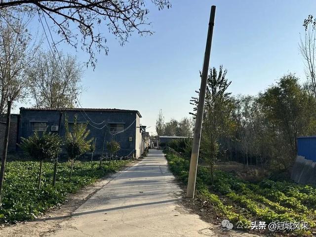 冠县乡韵·贾镇洼里村