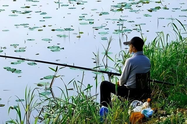 7月20号入伏，不出意外，今年三伏天将出现这6个现象，与往年不同