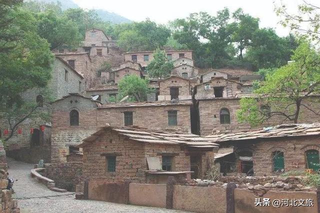 我看泉城 百善骈臻丨寻访母亲泉