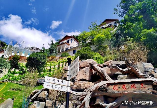 从生态修复到文化铸魂 | 尧治河绿水青山的“价值密码”