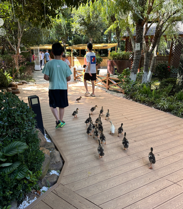 萌宠互动 + 花园美食！贵阳铂尔曼大酒店新场景点燃南明秋季文旅市场