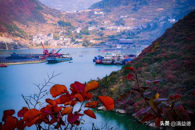 冬日巫山：红叶浸透风骨，江山如画