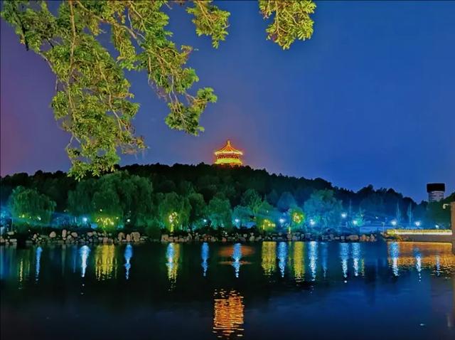 虎山公园夜游渐火 光影交织引客来