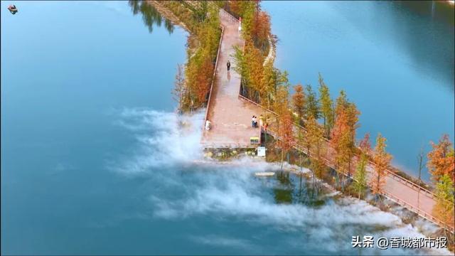 文旅融合绽新颜 | 千年银杏谷激活旅游发展新动能