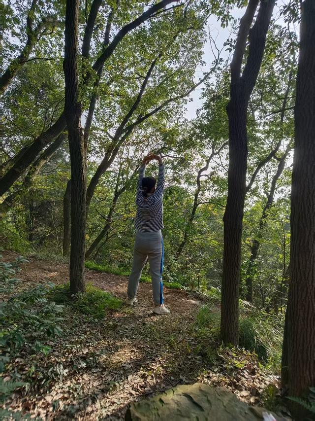 山径新途，秋光独酌