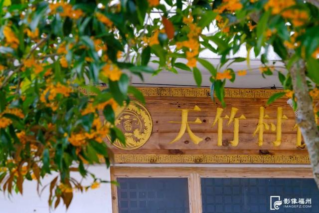 最佳观赏期！福州满城都是！但千万别吃……