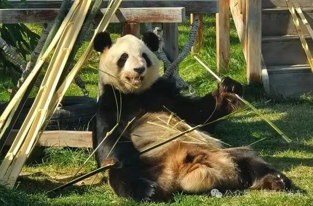 11月8日-9日，这些人可免费游鄂尔多斯动物园、海洋馆！