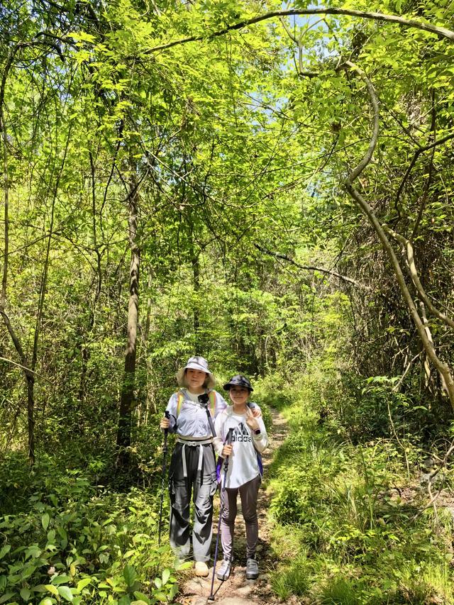 带小朋友去贵州茂兰,连环探洞加漏斗原始森林徒步二日游全攻略!