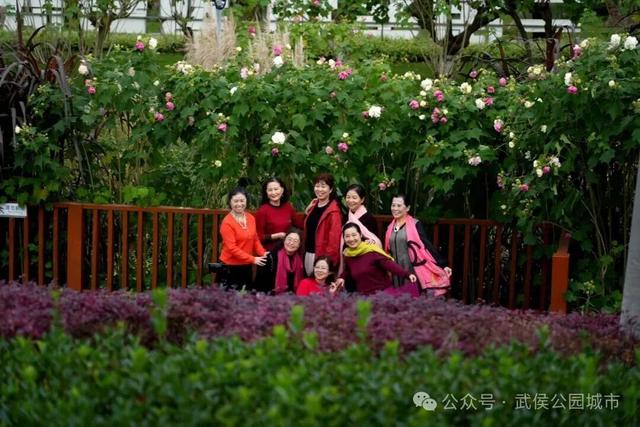 天府芙蓉园花开烂漫，邀请你来一场和秋天的浪漫约会